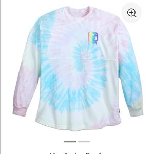 Walt Disney World Spirit Jersey for Adults